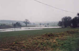 river.JPG (150099 bytes)